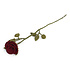 Gry & sif - bloem lange roos - red Gry & sif - bloem lange roos - red