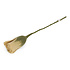 Gry & sif - bloem tulp - light yellow Gry & sif - bloem tulp - light yellow