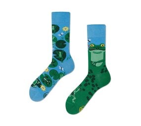 Many mornings Many mornings - sokken - froggy frog Many mornings Many mornings - sokken - froggy frog