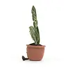 Jellycat Jellycat - amuseable knuffel - gatenplant Jellycat Jellycat - amuseable knuffel - gatenplant
