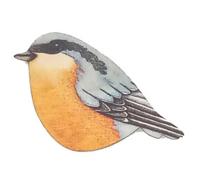 Ask a duck Ask a duck - magneet freeform - boomklever