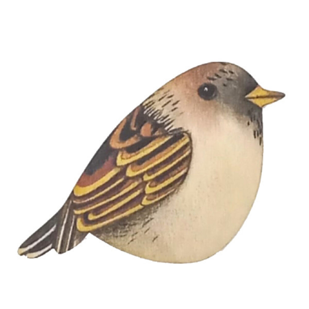 Ask a duck Ask a duck - magneet freeform - mus