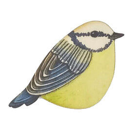 Ask a duck Ask a duck - magneet freeform - pimpelmees