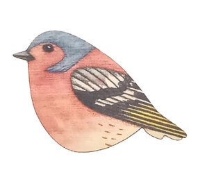 Ask a duck Ask a duck - magneet freeform - vink