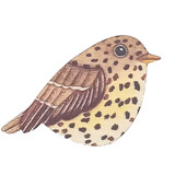 Ask a duck Ask a duck - magneet freeform - zanglijster