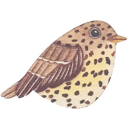 Ask a duck Ask a duck - magneet freeform - zanglijster