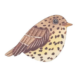 Ask a duck Ask a duck - magneet freeform - zanglijster Ask a duck Ask a duck - magneet freeform - zanglijster