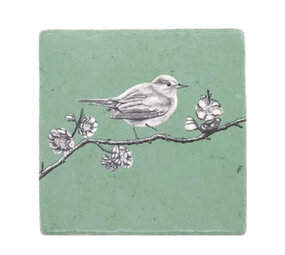 Ask a duck Ask a duck - tegel natuursteen - nachtegaal