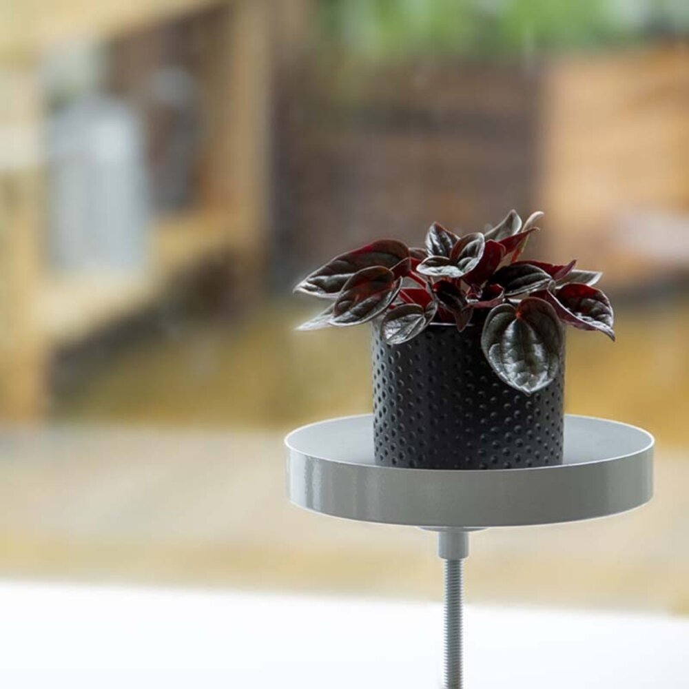 Esschert design Esschert Design - ronde vensterbank klem klein - wit Esschert design Esschert Design - ronde vensterbank klem klein - wit