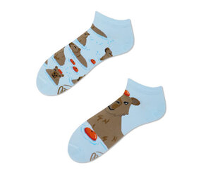 Many mornings Many Mornings - sneaker sokken - capybara