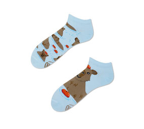 Many mornings Many Mornings - sneaker sokken - capybara Many mornings Many Mornings - sneaker sokken - capybara