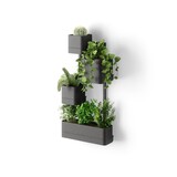 Umbra Umbra - cubiko muurplantenbak - zwart Umbra Umbra - cubiko muurplantenbak - zwart