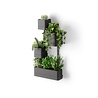 Umbra Umbra - cubiko muurplantenbak - zwart Umbra Umbra - cubiko muurplantenbak - zwart