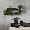 Umbra Umbra - cubiko muurplantenbak - zwart Umbra Umbra - cubiko muurplantenbak - zwart