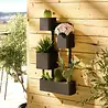 Umbra Umbra - cubiko muurplantenbak - zwart Umbra Umbra - cubiko muurplantenbak - zwart