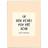Kaart Blanche Kaart blanche - wenskaart - in dog years you're dead