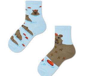 Many mornings Many mornings - sokken kids - capybara
