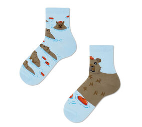 Many mornings Many mornings - sokken kids - capybara Many mornings Many mornings - sokken kids - capybara