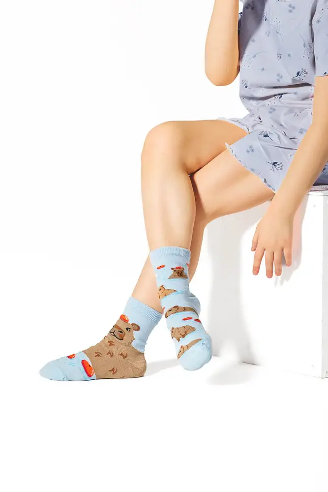 Many mornings Many mornings - sokken kids - capybara Many mornings Many mornings - sokken kids - capybara