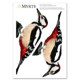 Myrte Myrte - muursticker - bonte specht
