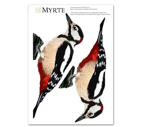 Myrte Myrte - muursticker - bonte specht Myrte Myrte - muursticker - bonte specht
