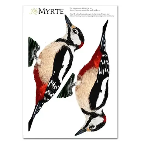 Myrte Myrte - muursticker - bonte specht Myrte Myrte - muursticker - bonte specht