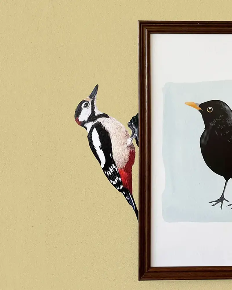 Myrte Myrte - muursticker - bonte specht Myrte Myrte - muursticker - bonte specht