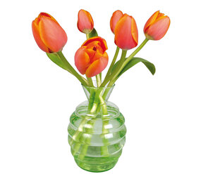 Flatflowers Flat flowers - raamsticker - tulp oranje (30 x 30 cm) Flatflowers Flat flowers - raamsticker - tulp oranje (30 x 30 cm)
