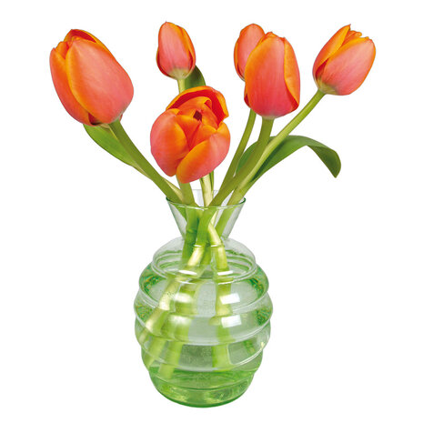 Flatflowers Flat flowers - raamsticker - tulp oranje (30 x 30 cm) Flatflowers Flat flowers - raamsticker - tulp oranje (30 x 30 cm)