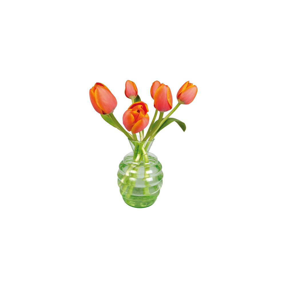 Flatflowers Flat flowers - ansichtkaart raamsticker - tulp oranje (15 x 15 cm) Flatflowers Flat flowers - ansichtkaart raamsticker - tulp oranje (15 x 15 cm)