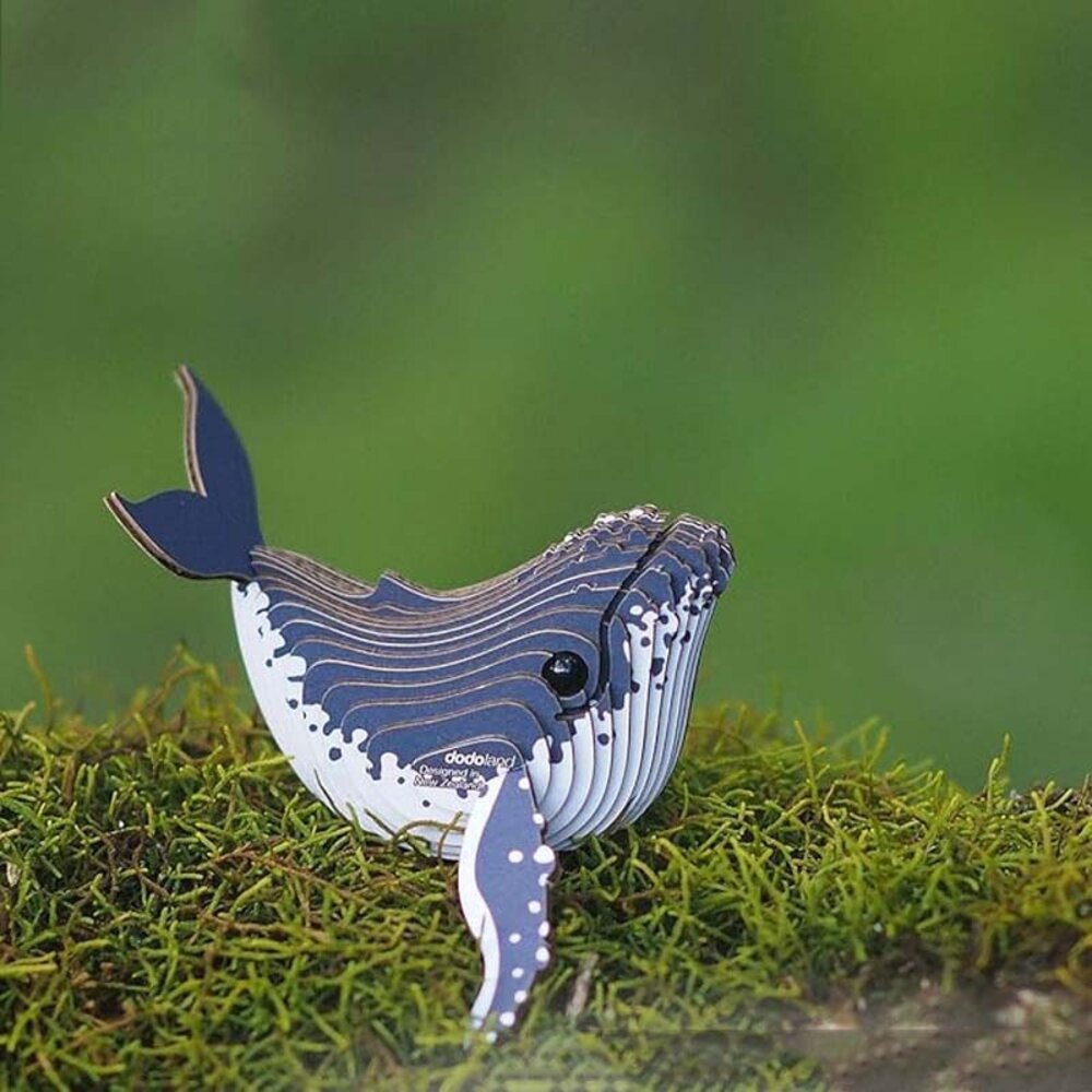 Eugy Eugy - 3d model - bultrug walvis (nr 051) Eugy Eugy - 3d model - bultrug walvis (nr 051)