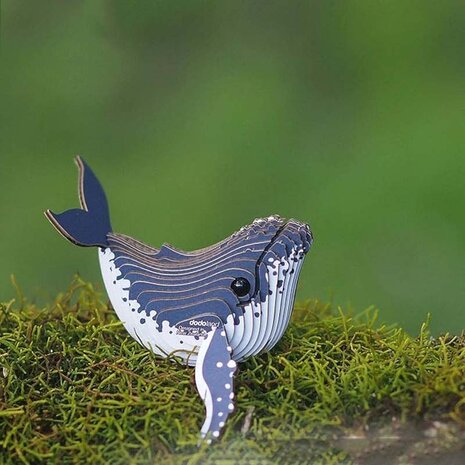 Eugy Eugy - 3d model - bultrug walvis (nr 051) Eugy Eugy - 3d model - bultrug walvis (nr 051)