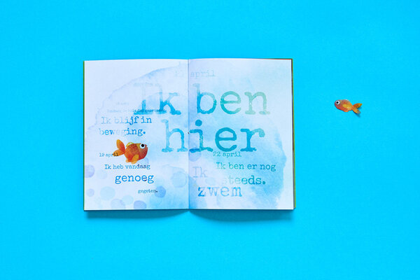 Loopvis Kakkerlakje - literatuur - je bent er al (nr 36) Loopvis Kakkerlakje - literatuur - je bent er al (nr 36)