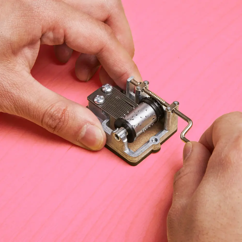 Kikkerland Kikkerland - muziekdoosje - fur elise