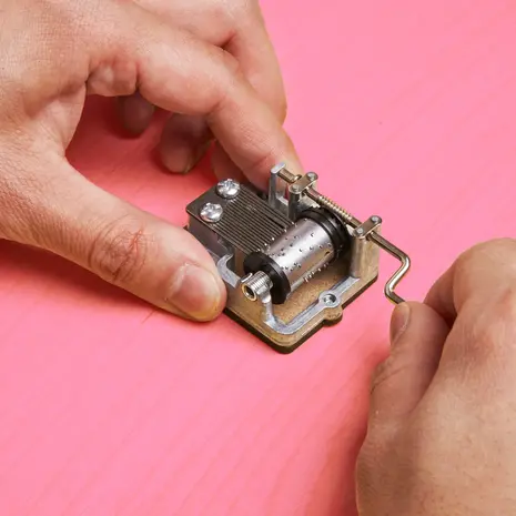 Kikkerland Kikkerland - muziekdoosje - fur elise