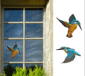 Myrte Myrte - raamsticker - ijsvogel