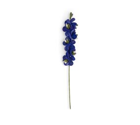 Sjaal met verhaal Sjaal met verhaal - bloem ridderspoor - blauw Sjaal met verhaal Sjaal met verhaal - bloem ridderspoor - blauw