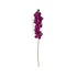 Sjaal met verhaal - bloem ridderspoor - fuchsia Sjaal met verhaal - bloem ridderspoor - fuchsia