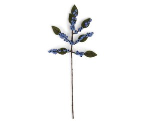 Sjaal met verhaal Sjaal met verhaal - tak bes - blauw