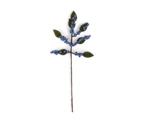 Sjaal met verhaal Sjaal met verhaal - tak bes - blauw Sjaal met verhaal Sjaal met verhaal - tak bes - blauw
