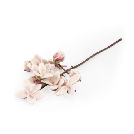 Sjaal met verhaal Sjaal met verhaal - tak - magnolia Sjaal met verhaal Sjaal met verhaal - tak - magnolia