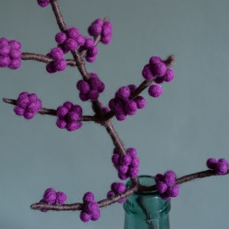 Sjaal met verhaal Sjaal met verhaal - tak bes callicarpa - paars Sjaal met verhaal Sjaal met verhaal - tak bes callicarpa - paars