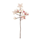 Sjaal met verhaal Sjaal met verhaal - tak - magnolia Sjaal met verhaal Sjaal met verhaal - tak - magnolia