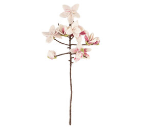 Sjaal met verhaal Sjaal met verhaal - tak - magnolia