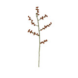 Sjaal met verhaal Sjaal met verhaal - tak bes - rozenbottel