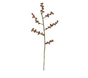 Sjaal met verhaal Sjaal met verhaal - tak bes - rozenbottel