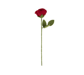 Sjaal met verhaal Sjaal met verhaal - bloem roos - rood Sjaal met verhaal Sjaal met verhaal - bloem roos - rood