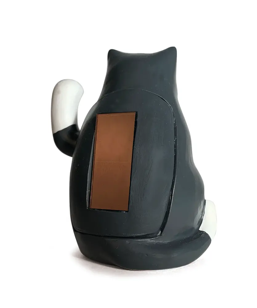 Kikkerland Kikkerland - solar figuur - black cat