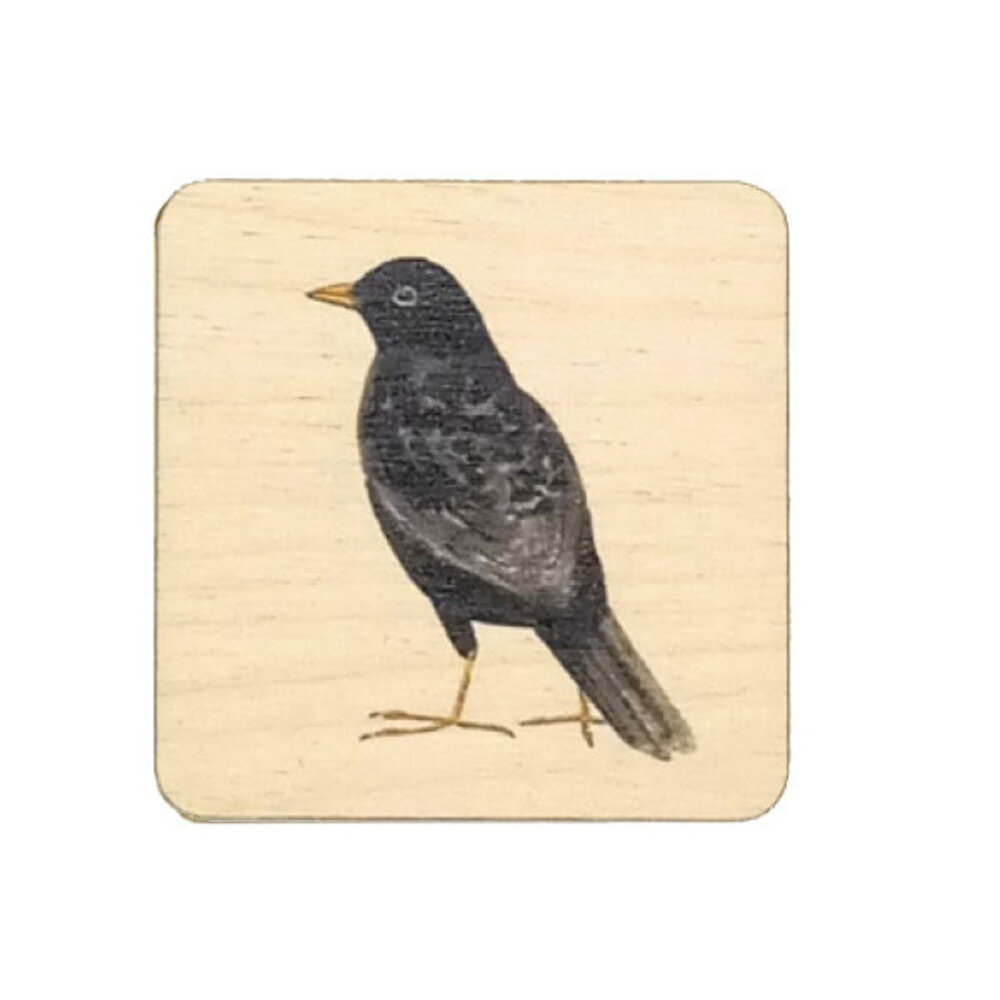 Ask a duck Ask a duck - magneet vierkant - merel Ask a duck Ask a duck - magneet vierkant - merel