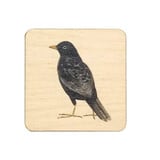 Ask a duck Ask a duck - magneet vierkant - merel